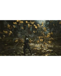 Playstation Black Myth: Wukong (PS5)