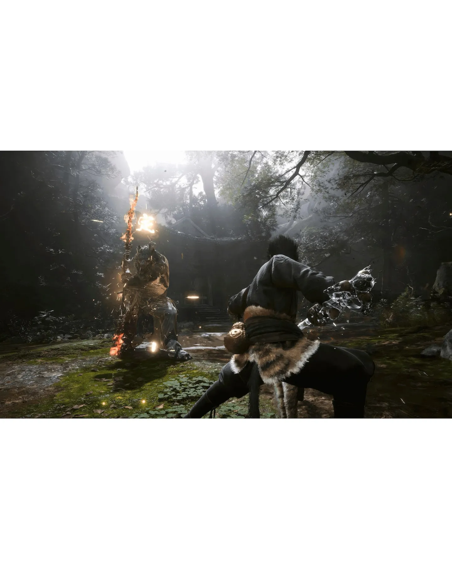 Playstation Black Myth: Wukong (PS5)