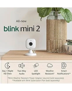 Blink Mini 2 - 1 Cam -