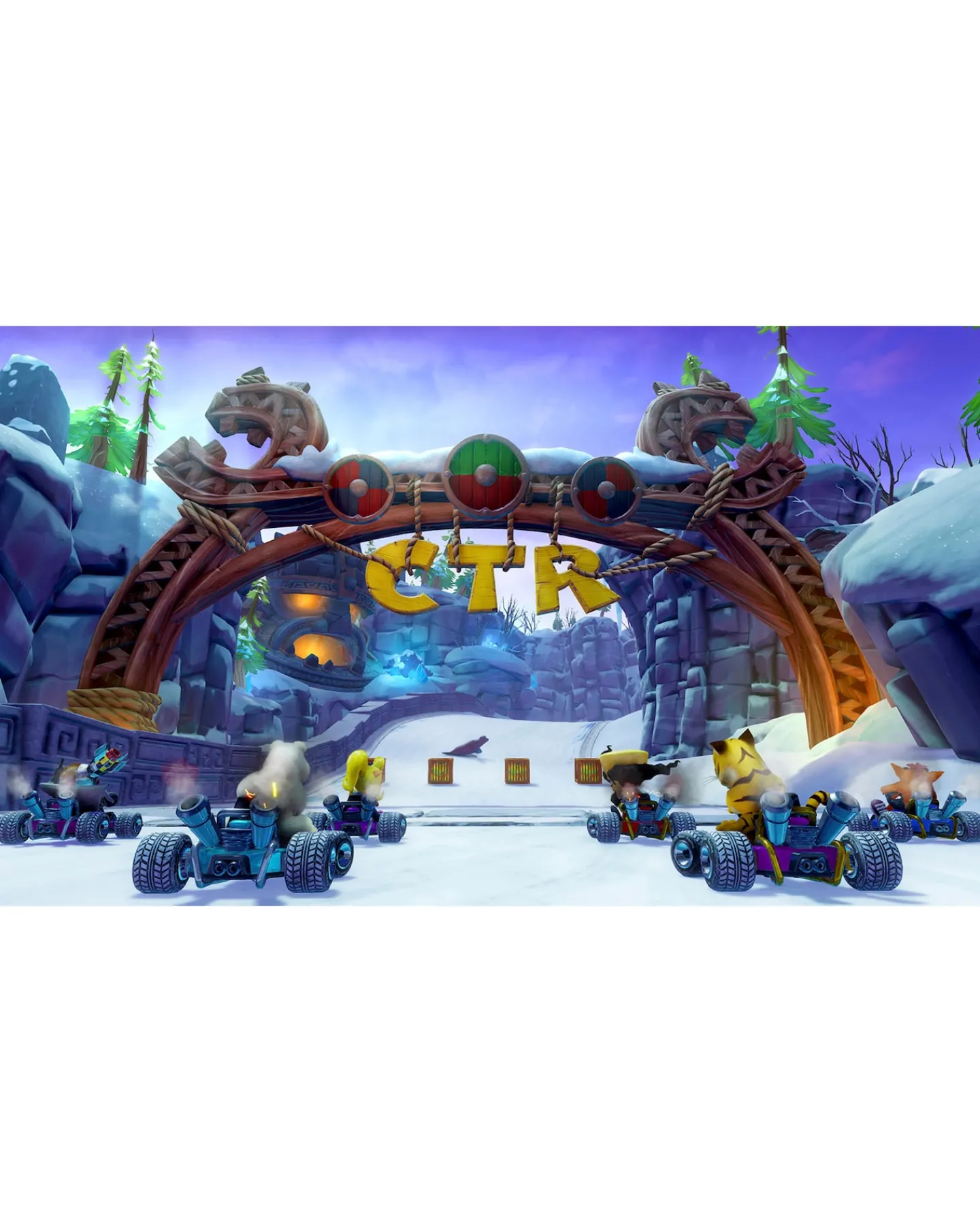 Nintendo Crash Team Racing Nitro Fueled ( Switch)
