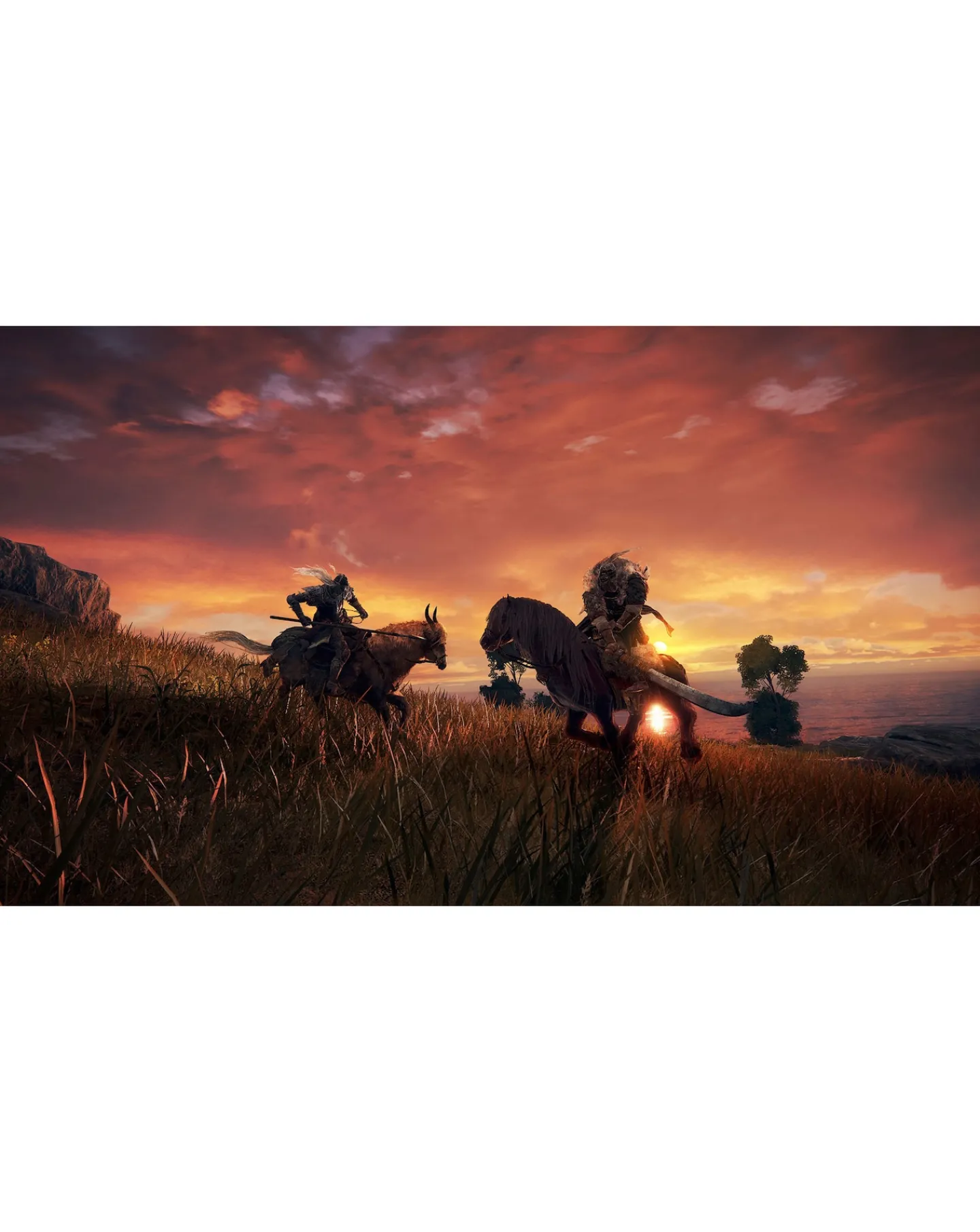 Playstation Elden Ring (PS5)