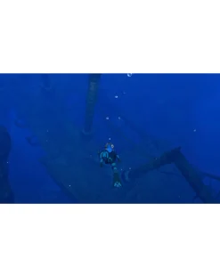 Nintendo Endless Ocean Luminous ( Switch)