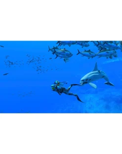 Nintendo Endless Ocean Luminous ( Switch)