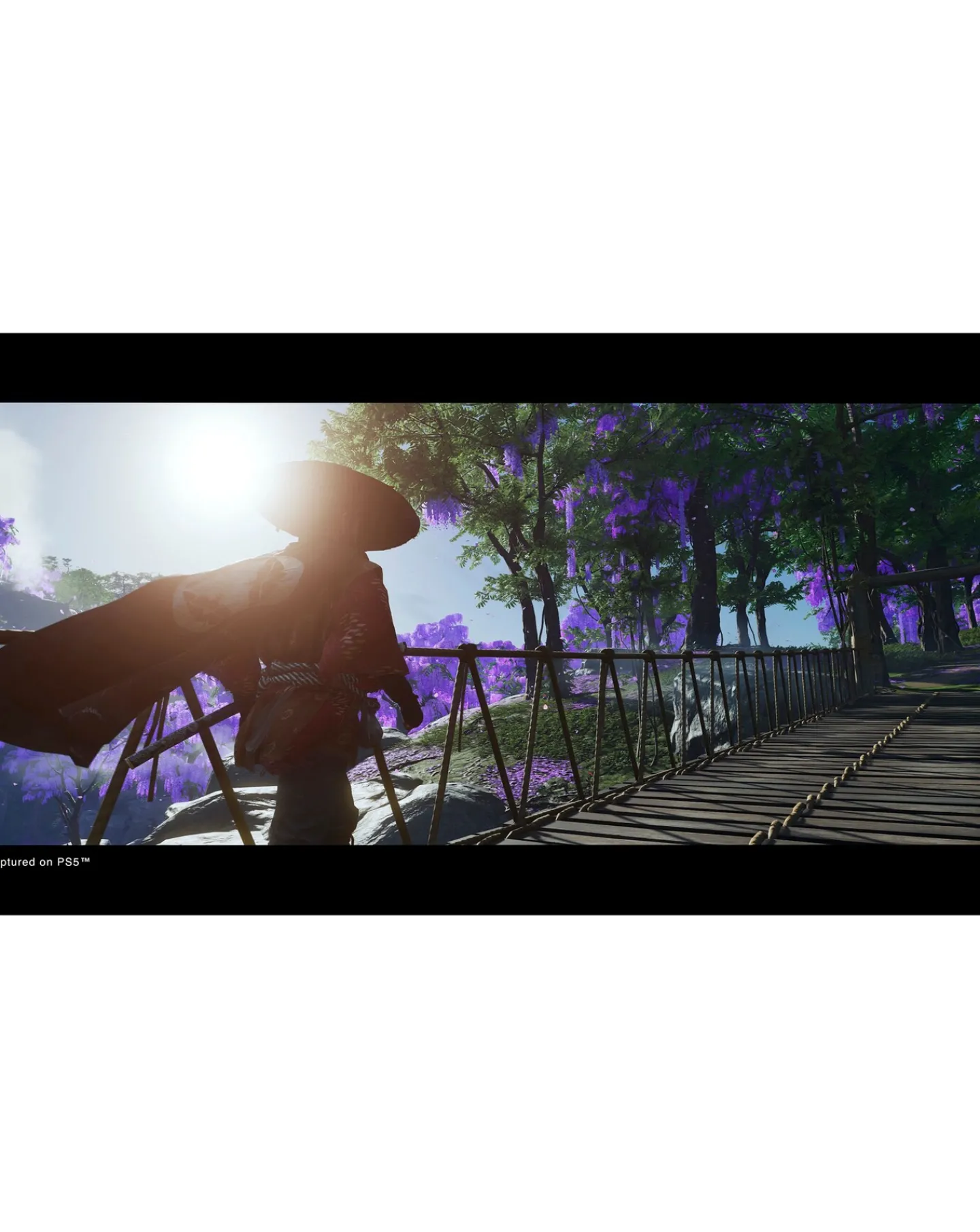 Playstation Ghost of Tsushima Director's Cut (PS5)