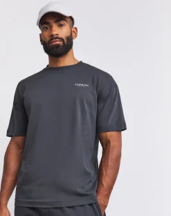 Gym King Established T-Shirt