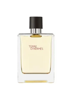 Hermes Terre d Eau de Toilette - 100ml