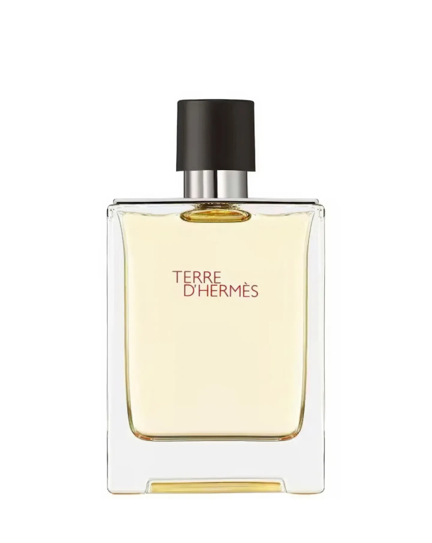 Hermes Terre d Eau de Toilette - 100ml