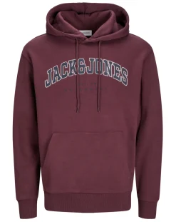 JACK & JONES Jack & Jones Caleb Varsity Sweat Hoody