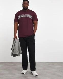 JACK & JONES Jack & Jones Caleb Varsity T-Shirt