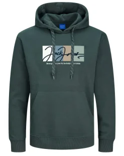 JACK & JONES Jack & Jones Portland Block Branding Hoody