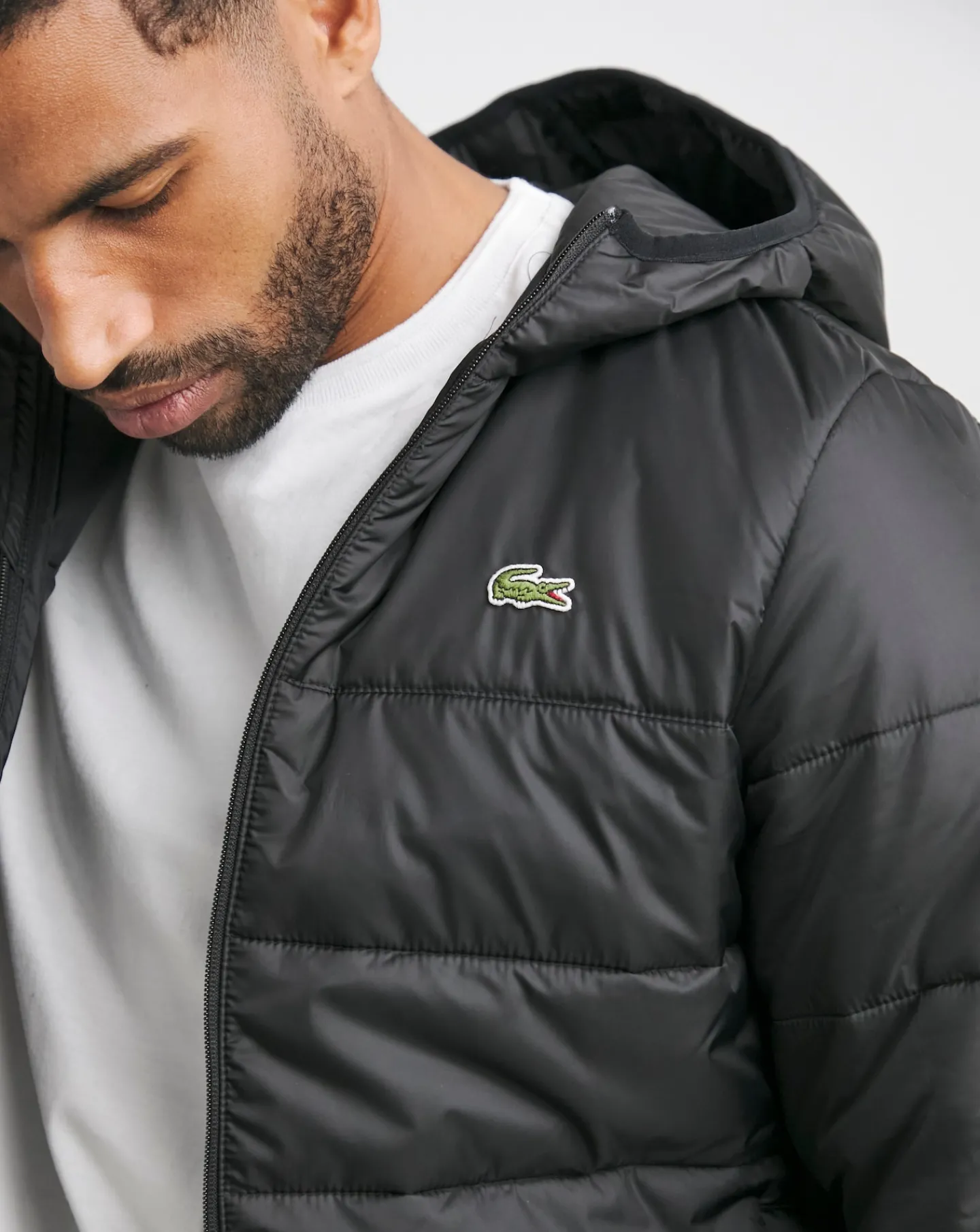 Lacoste Classic Hooded Padded Jacket