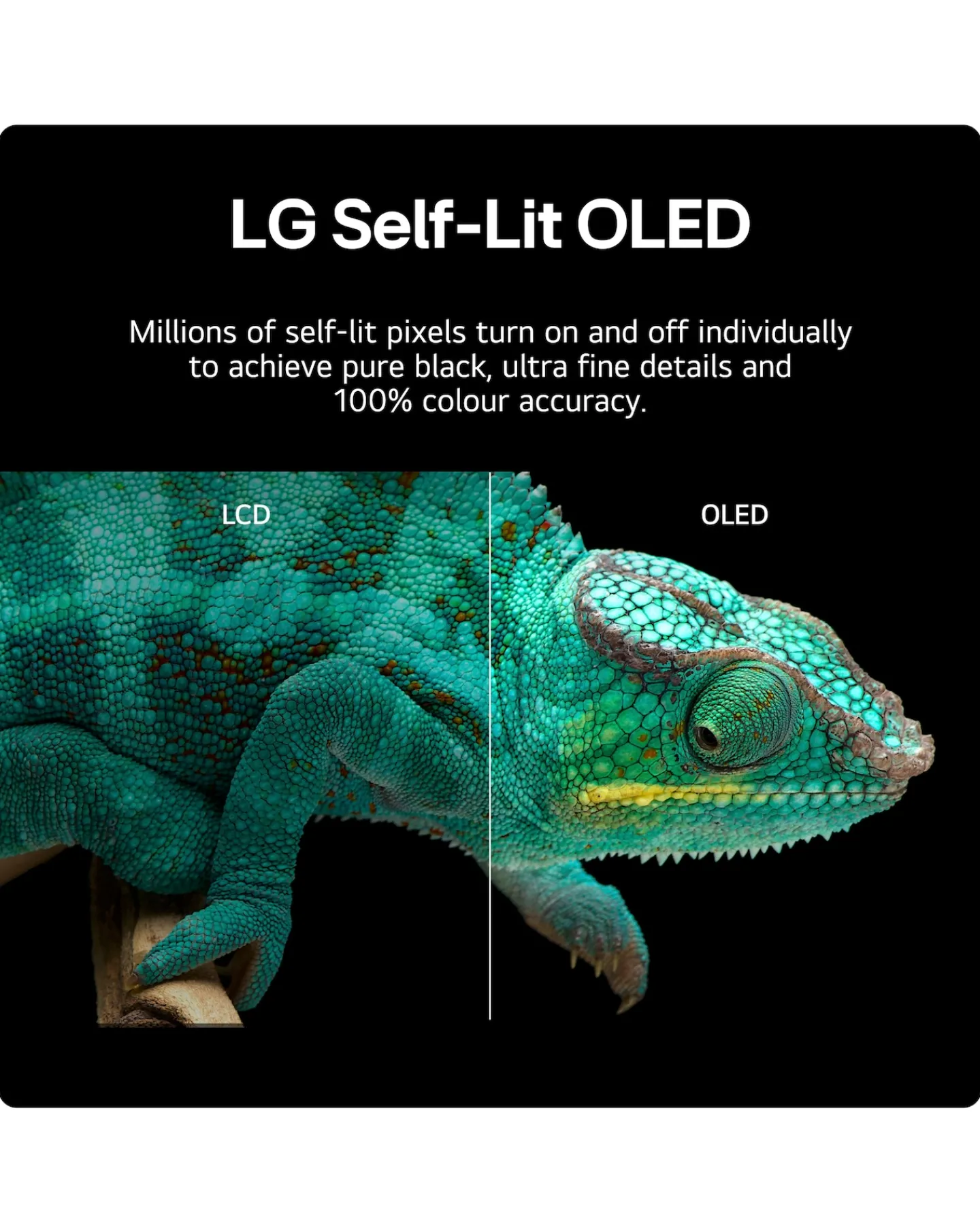 LG OLED65B46LA 65in OLED Advanced 4K UHD HDR Smart TV