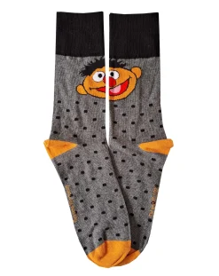 Licence Mens 5pk Sesame St Socks
