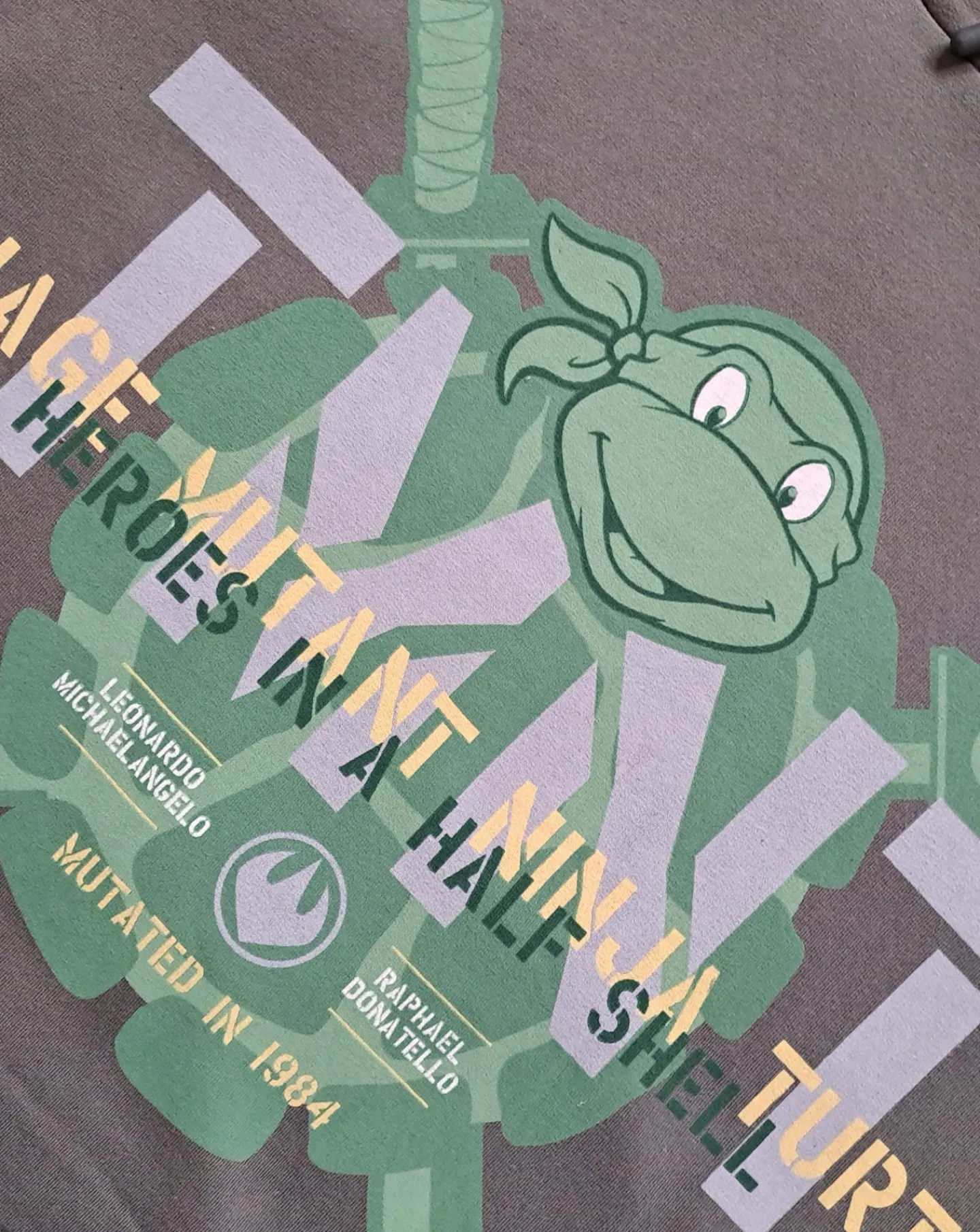 Licence Mens Teenage Mutant Ninja Turtles Hoodie