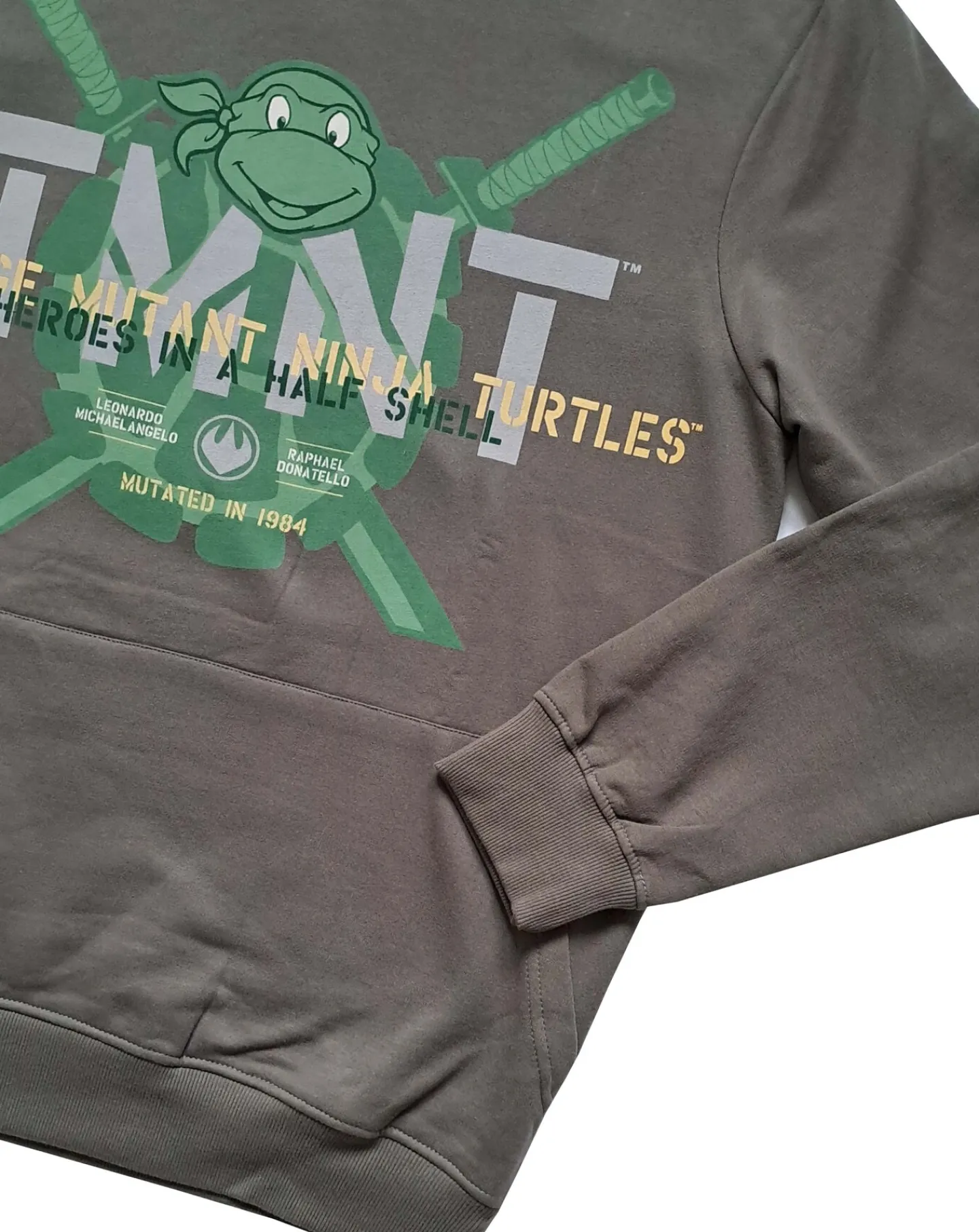 Licence Mens Teenage Mutant Ninja Turtles Hoodie