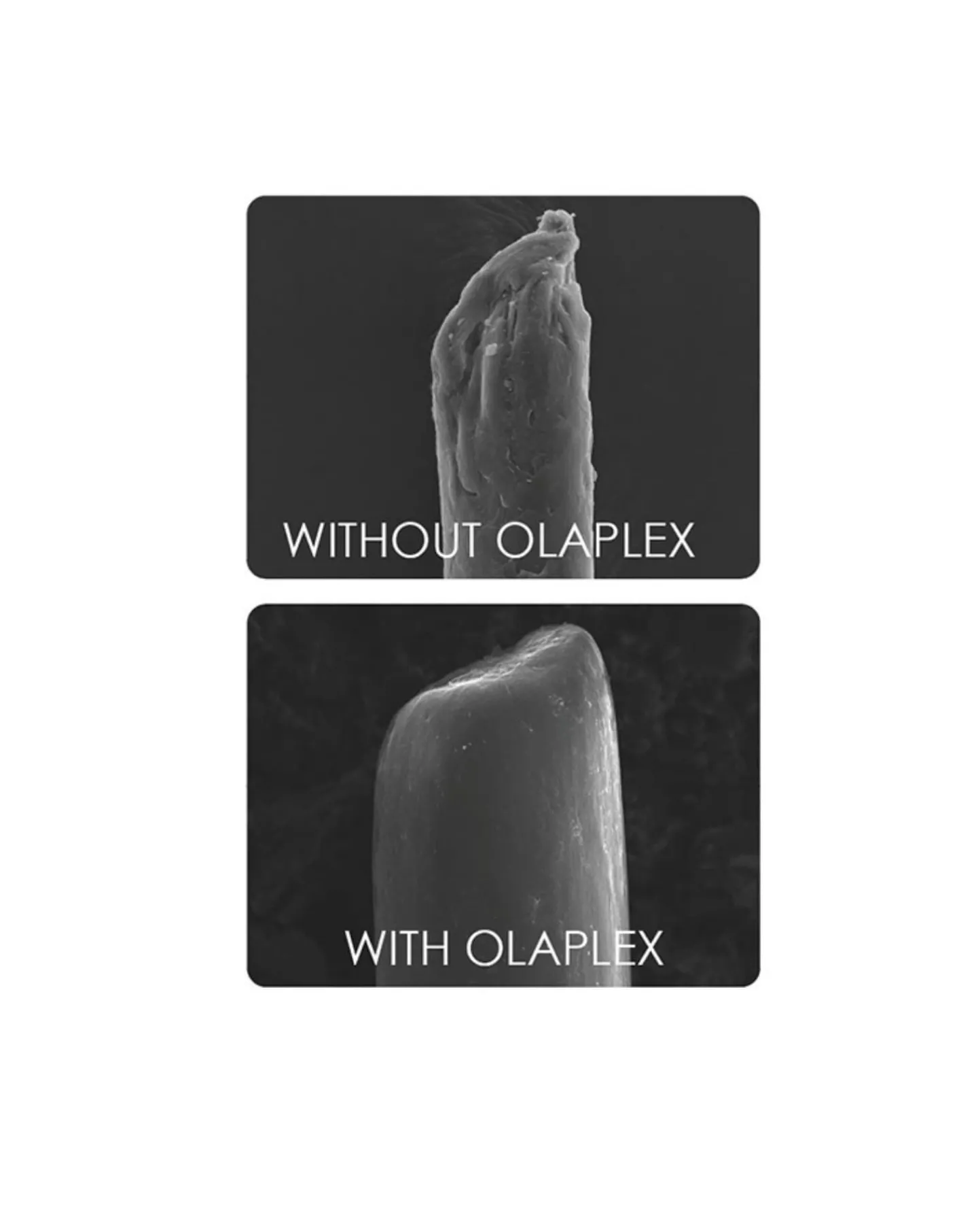OLAPLEX No.5 Bond Conditioner 250ml
