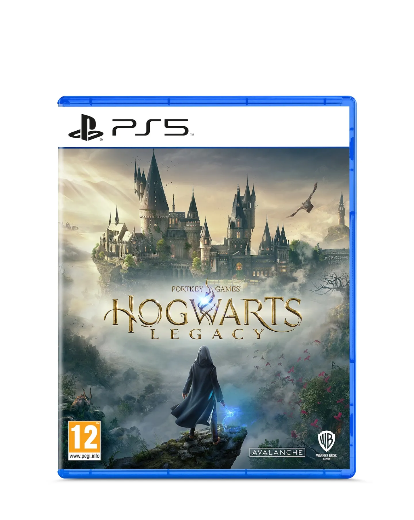 Playstation 5 & Hogwarts Legacy Bundle