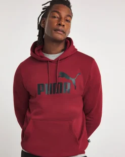 Puma Essentials Big Logo Hoodie