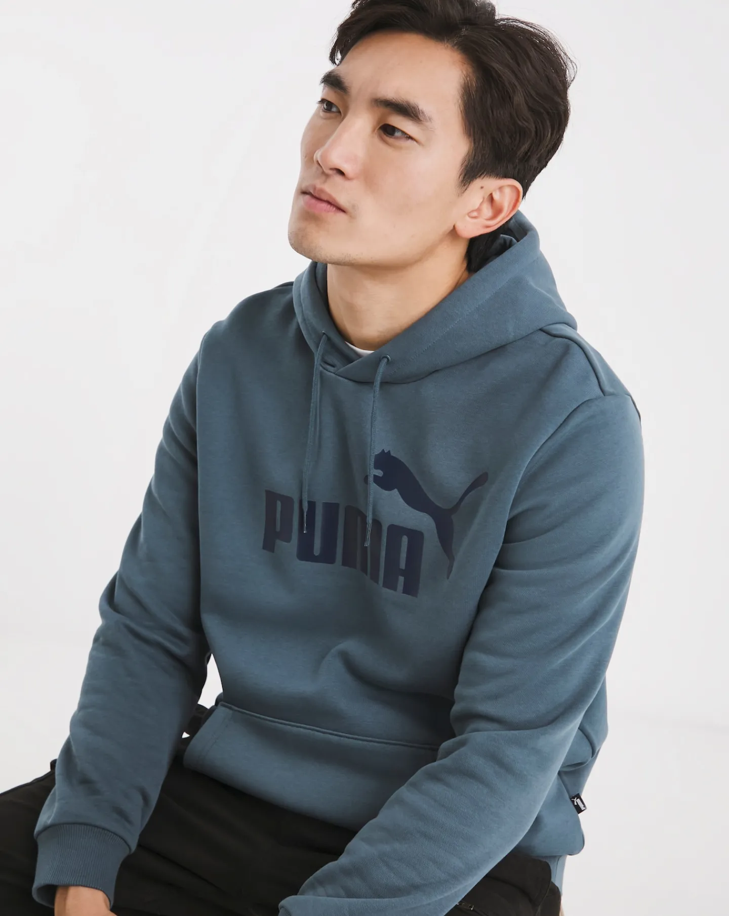 Puma Essentials Big Logo Hoodie