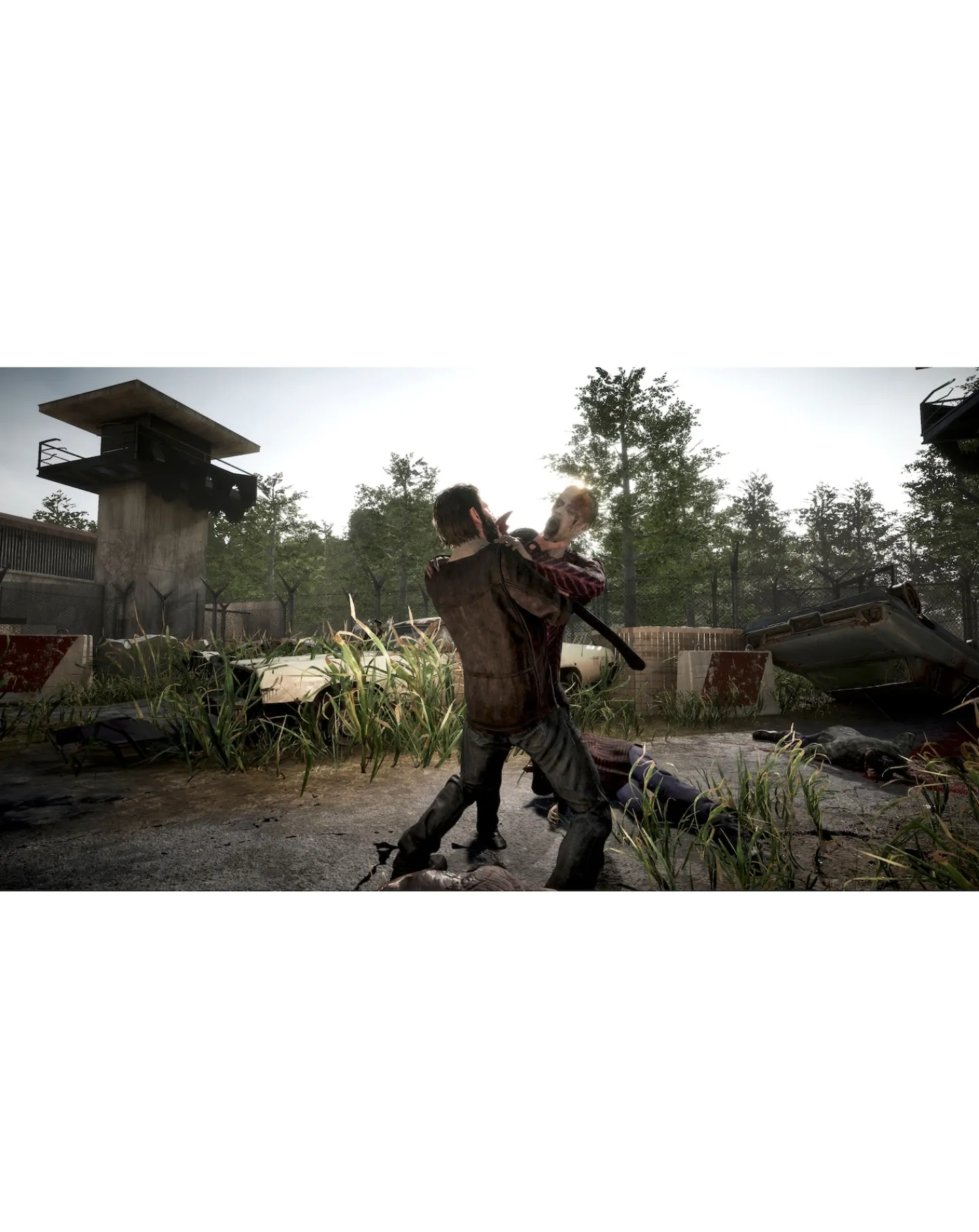 Nintendo Red Dead Redemption ( Switch)