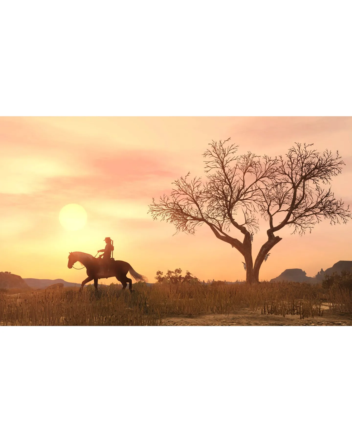 Playstation Red Dead Redemption (PS4)