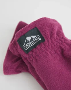 Snowdonia Gloves
