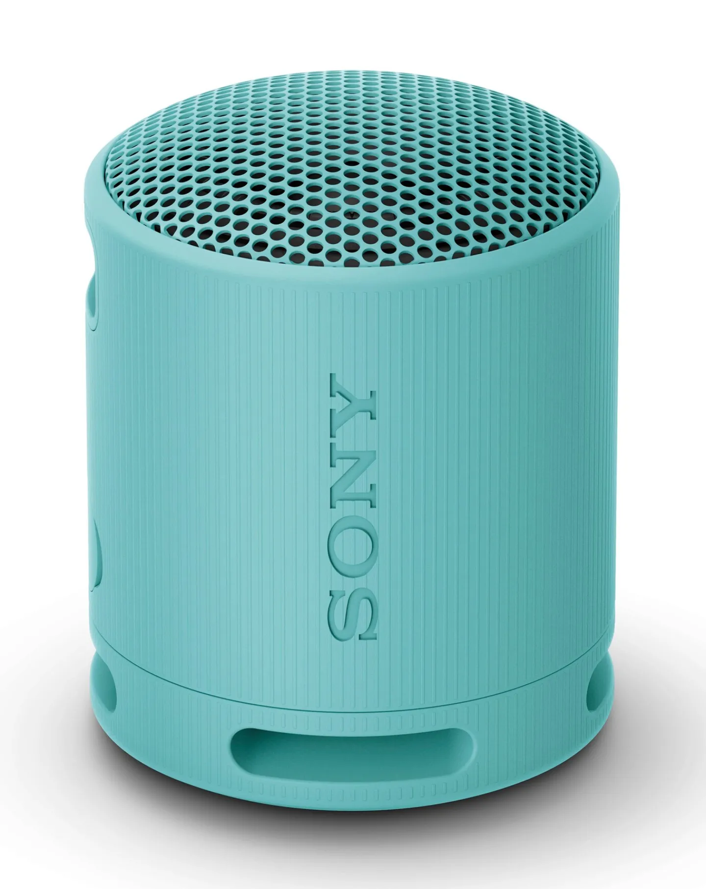 Sony SRS-XB100 Portable Wireless Speaker - Blue