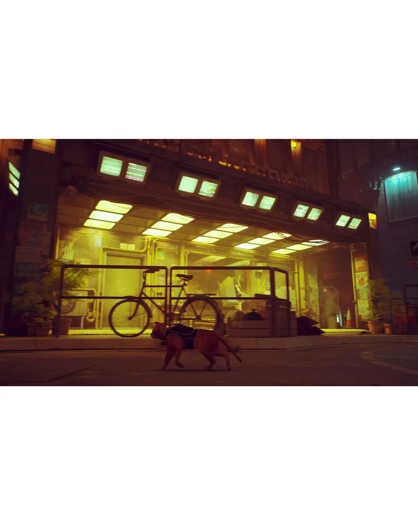 Nintendo Stray ( Switch)