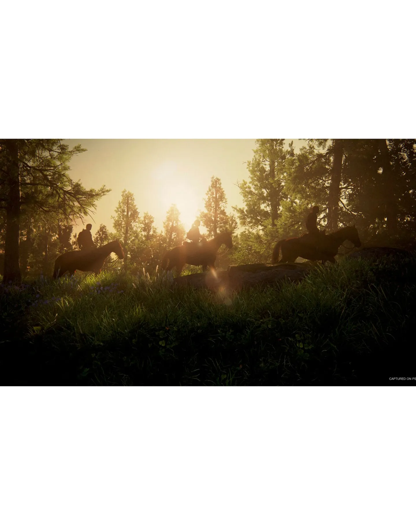 Playstation The Last Of Us Part 1 Remake (PS5)