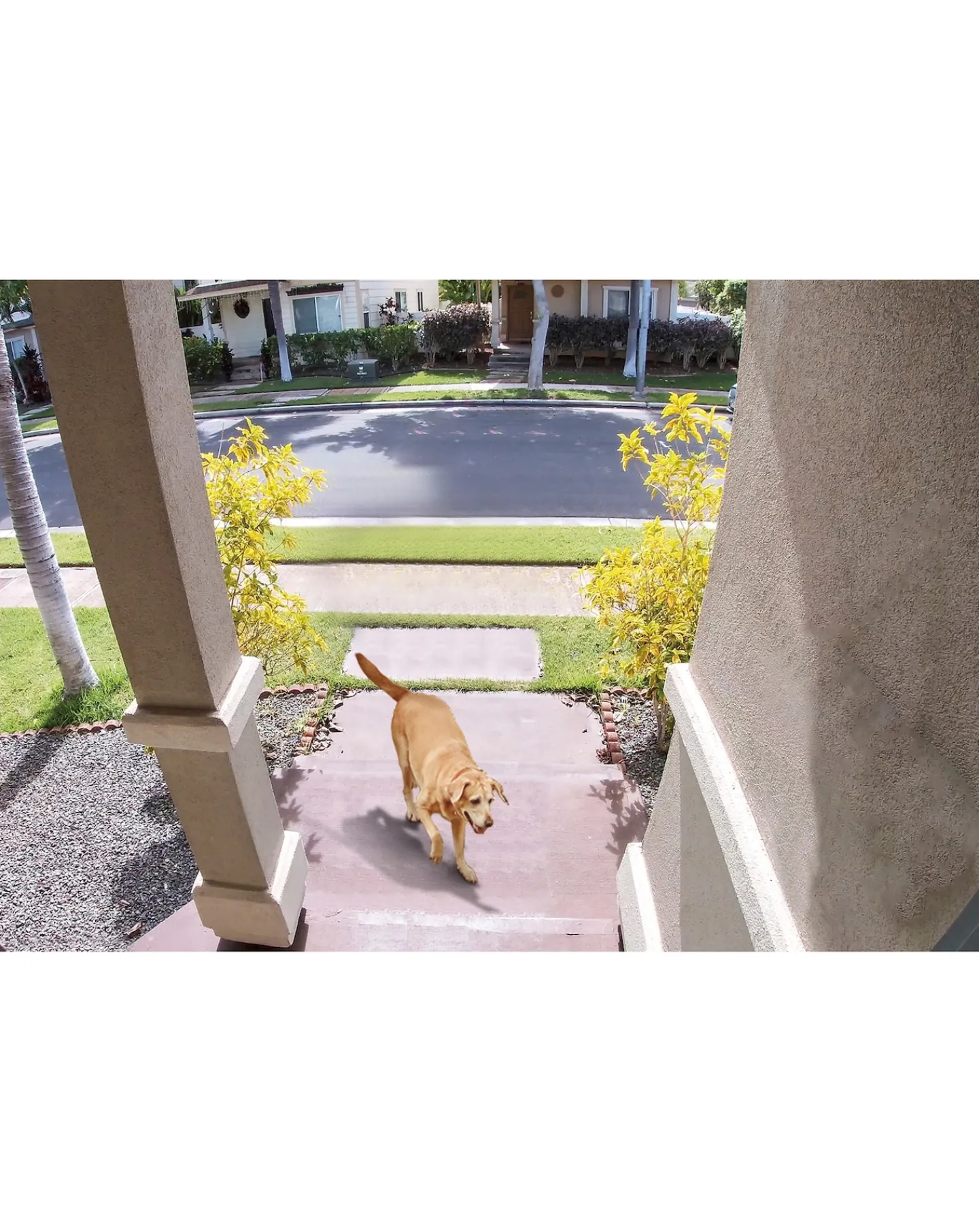 TP-Link TP - Link Smart Video Doorbell Cam Kit