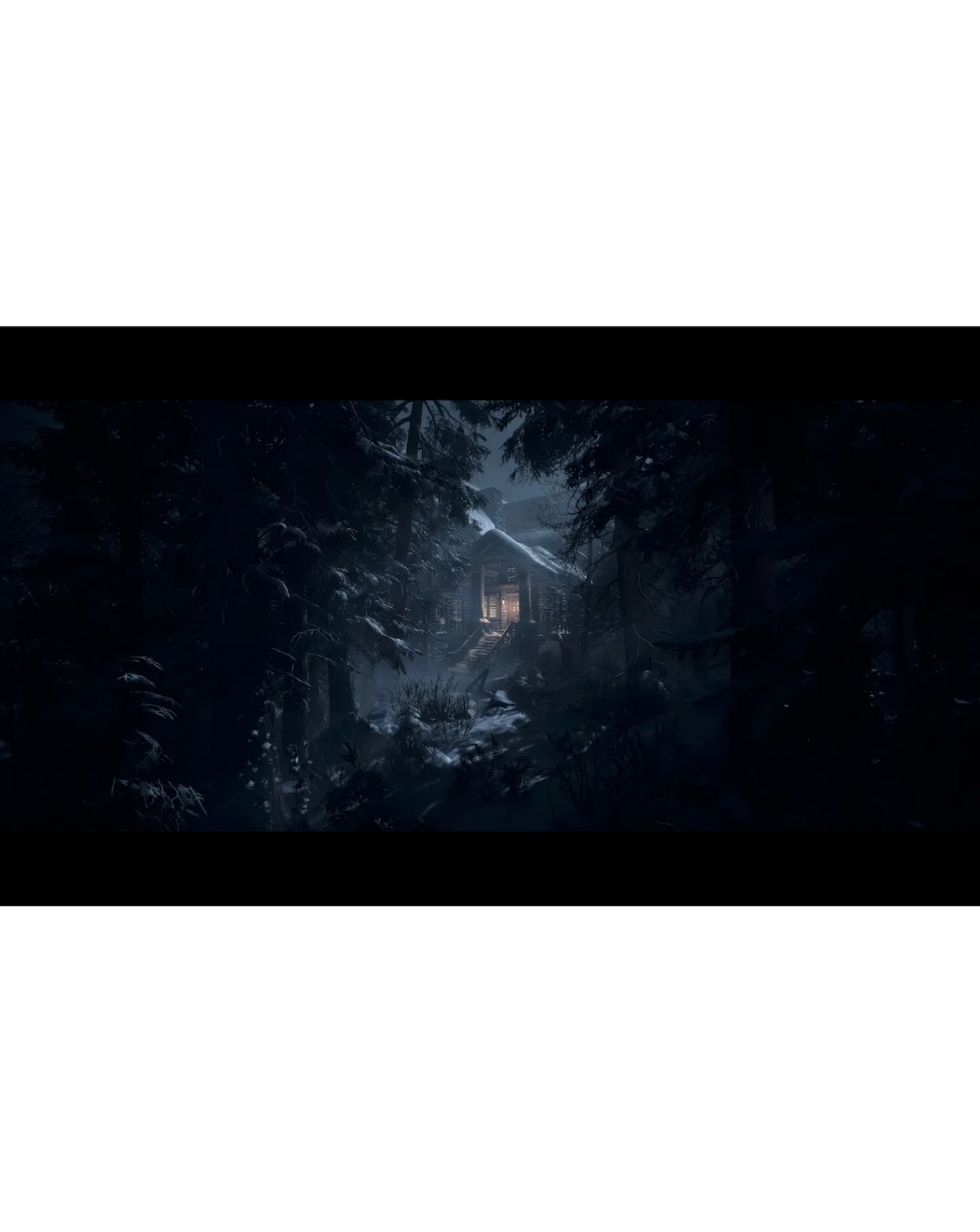 Playstation Until Dawn (PS5)